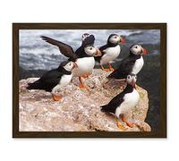 Artery8 Animal North Atlantic Puffins Birds Beach Edge of Ocean Rock Artwork Framed Wall Art Print A4
