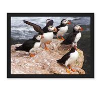 Artery8 Animal North Atlantic Puffins Birds Beach Edge of Ocean Rock Artwork Framed Wall Art Print A4