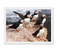 Artery8 Animal North Atlantic Puffins Birds Beach Edge of Ocean Rock Artwork Framed Wall Art Print A4