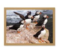 Artery8 Animal North Atlantic Puffins Birds Beach Edge of Ocean Rock Artwork Framed Wall Art Print A4
