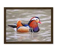 Artery8 Animal Photo Bird Male Mandarin Duck Artwork Framed Wall Art Print A4 in Brown Artery8 Brown