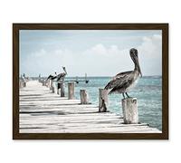 Animal Photo Bird Pelicans Ocean Pier Artwork Framed Wall Art Print A4 Artery8 Brown One Size