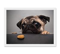 Artery8 Animal Photo Pug Dog Treat Food Eyes Cute Artwork Framed Wall Art Print A4