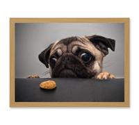 Animal Photo Pug Dog Treat Food Eyes Cute Artwork Framed Wall Art Print A4 Artery8 Light Oak One Size