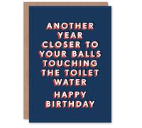 Artery8 Another Year Closer Balls Touching Toilet Water For Him Birthday Card