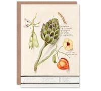 Artery8 Anselmus de Boodt Art Card Artichoke Broad Beans Groundcherry