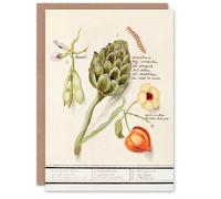 Artery8 Anselmus de Boodt Art Card Artichoke Broad Beans Groundcherry