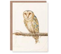 Artery8 Anselmus de Boodt Art Card Barn Owl Tyto Alba Bird Drawing