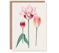 Artery8 Anselmus de Boodt Art Card Blooming Tulip Flower Illustration