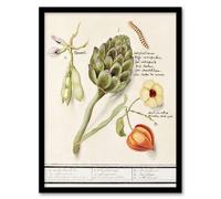 Artery8 Anselmus de Boodt Artichoke Broad Beans Groundcherry Framed Art Print in White | Size: A4 Artery8 White A4