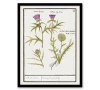 Artery8 Anselmus de Boodt Thistle & Artichoke Flowers Framed Wall Art Print in White | Size: A4 Artery8 White A4