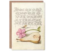 Artery8 Art Card Mayfly Red Campion and Pear Model Book of Calligraphy
