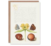 Artery8 Art Card Moths Jerusalem Sage and Beans Model Book of Calligraphy