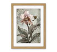 Artery8 Art Nouveau Pink Orchid Bloom Flower Watercolour Artwork Framed Wall Art Print 18X24 Inch