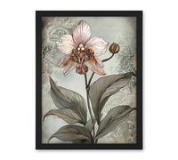 Artery8 Art Nouveau Pink Orchid Bloom Flower Watercolour Artwork Framed Wall Art Print 18X24 Inch