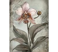 Artery8 Art Nouveau Pink Orchid Bloom Flower Watercolour Large Wall Art Poster Print Thick Paper 18X24 Inch