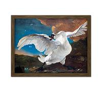 Artery8 Asselijn Threatened Swan Painting Artwork Framed Wall Art Print 18X24 Inch