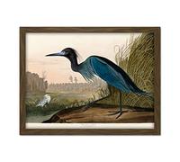 Artery8 Audubon Birds America Blue Crane Artwork Framed Wall Art Print 18X24 Inch