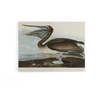 Artery8 Audubon Birds Brown Pelican Painting Canvas Wall Art Print | Size: W18" x H24" Artery8 Multicolor W18" x H24"