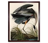 Wall Art Print Audubon Birds of America Great Blue Heron Coastal Bird Portrait Art Framed Artery8 Brown W12 inch x H16 inch