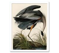 Wall Art Print Audubon Birds of America Great Blue Heron Coastal Bird Portrait Art Framed Artery8 White W12 inch x H16 inch