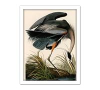 Artery8 Audubon Birds Great Blue Heron Painting Artwork Framed Wall Art Print 18X24 Inch