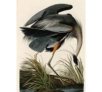 Artery8 Audubon Birds Great Blue Heron Painting Large Wall Art Poster Print Thick Paper 18X24 Inch