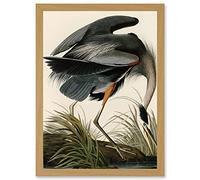 Artery8 Audubon Birds Great Blue Heron Painting Nature Animals Artwork Framed Wall Art Print A4