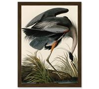 Audubon Birds Great Blue Heron Painting Nature Animals Artwork Framed Wall Art Print A4 Artery8 Brown One Size
