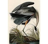 Artery8 Audubon Birds Great Blue Heron Painting Unframed Wall Art Print Poster Home Decor Premium