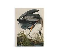 Artery8 Audubon Birds Great Heron Painting Canvas Wall Art Print | Size: W12" x H16" Artery8 Multicolor W12" x H16"