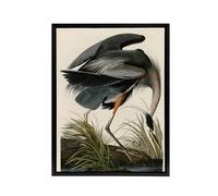 Artery8 Audubon Birds Great Heron Painting Framed Canvas Wall Art Print | Size: W24" x H32" Artery8 Multicolor W24" x H32"