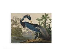 Artery8 Audubon Birds Louisiana Heron Canvas Wall Art Print | Size: W24" x H32" Artery8 Multicolor W24" x H32"
