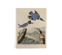 Artery8 Audubon Birds Of America Belted Kingfisher Canvas Wall Art Print in Blue | Size: W18" x H24" Artery8 Blue W18" x H24"