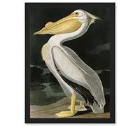 Artery8 Audubon Birds White Pelican Painting Nature Animals Artwork Framed A3 Wall Art Print