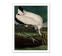 Artery8 Audubon Birds Wood Ibis Painting Artwork Framed Wall Art Print 18X24 Inch