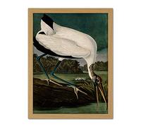 Artery8 Audubon Birds Wood Ibis Painting Artwork Framed Wall Art Print 18X24 Inch