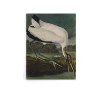 Artery8 Audubon Birds Wood Ibis Painting Canvas Wall Art Print | Size: W12" x H16" Artery8 Multicolor W12" x H16"