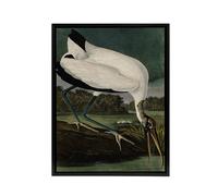 Artery8 Audubon Birds Wood Ibis Painting Framed Canvas Wall Art Print | Size: W24" x H32" Artery8 Multicolor W24" x H32"