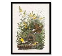 Artery8 Audubon Framed Wall Art Meadow Lark Bird And Yellow False Foxglove - A3 Size