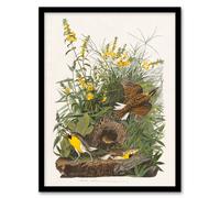 Artery8 Audubon Framed Wall Art Meadow Lark Bird & Yellow False Foxglove in White | Size: A3 Artery8 White A3