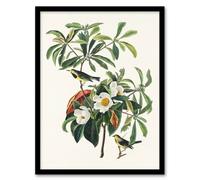 Artery8 Audubon Framed Wall Art Print Bachmans Warbler And Franklinia Tree - A3 Size