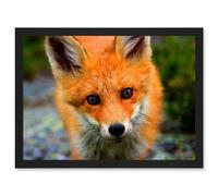 Baby Red Fox Portrait Woodland A4 Artwork Framed Wall Art Print Artery8 Black One Size