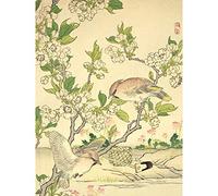 Artery8 Bairei Kacho Gafu Spring Pear Blossoms And Bohemian Waxwings Premium Wall Art Canvas Print 18X24 Inch