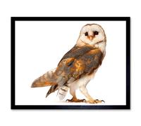 Artery8 Barn Owl Colour Photo Bird Prey Home Decor 12x16" Framed Art Print in Brown | Size: W12" x H16" Artery8 Brown W12" x H16"