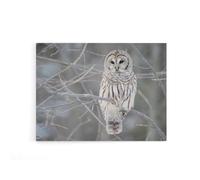 Artery8 Barred Owl Strix Varia Bird On Branch Canvas Wall Art Print in Grey | Size: W24" x H32" Artery8 Grey W24" x H32"