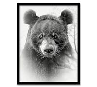Artery8 Bear Portrait Pencil Drawing Animal Lover Realistic For Living Room Artwork Framed Wall Art Print 18X24 Inch