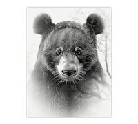 Artery8 Bear Portrait Pencil Drawing Animal Lover Realistic For Living Room Extra Large XL Wall Art Poster Print