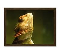 Artery8 Bearded Dragon Reptile Sunbathing A4 Artwork Framed Wall Art Print in Brown Artery8 Brown
