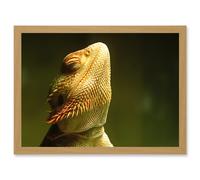 Artery8 Bearded Dragon Reptile Sunbathing A4 Artwork Framed Wall Art Print in Light Oak Artery8 Light Oak